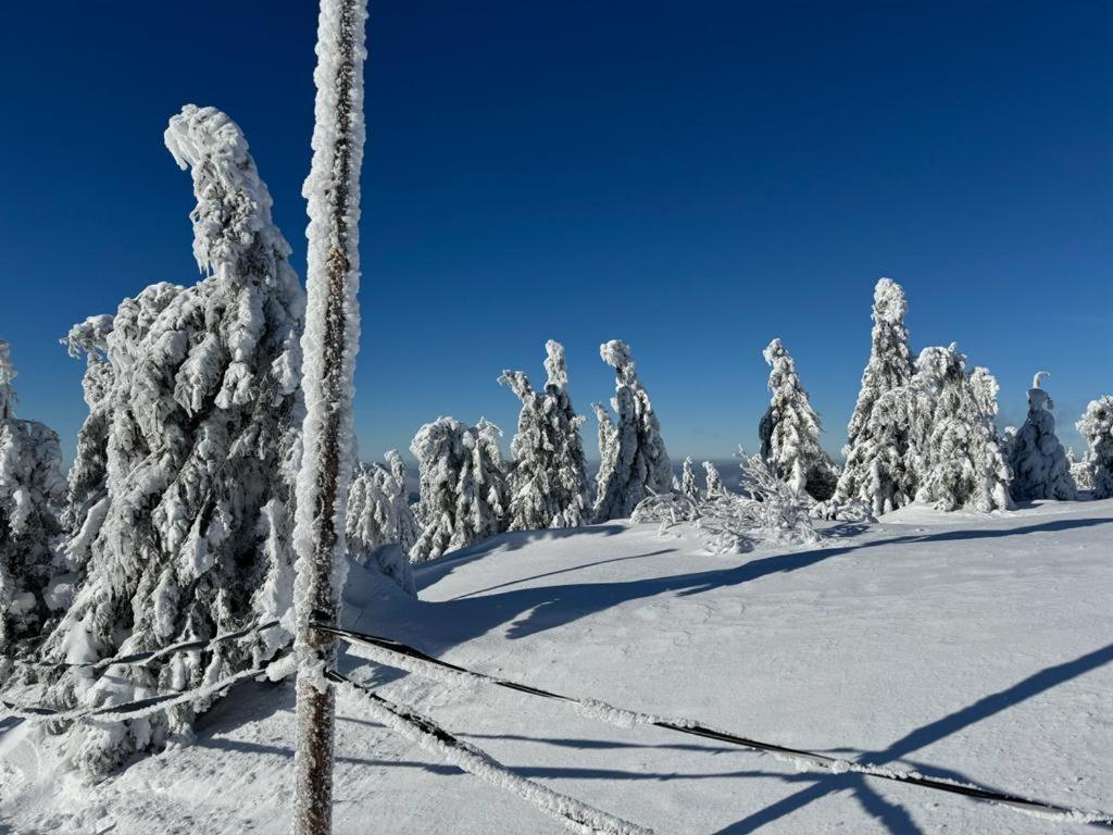 Apartman Roky 6 Rokytnice nad Jizerou Exteriér fotografie
