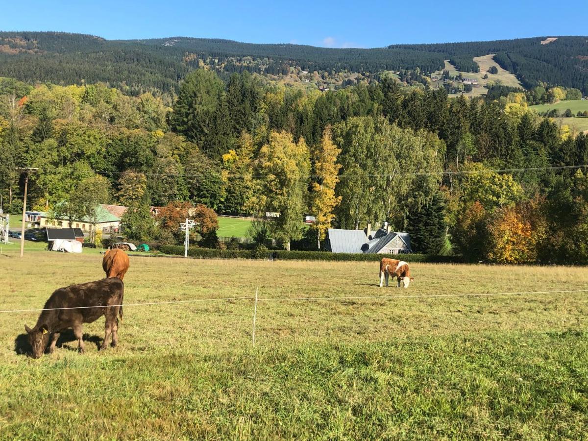 Apartman Roky 6 Rokytnice nad Jizerou Exteriér fotografie