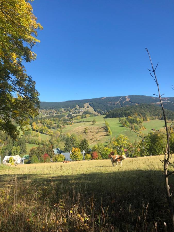 Apartman Roky 6 Rokytnice nad Jizerou Exteriér fotografie
